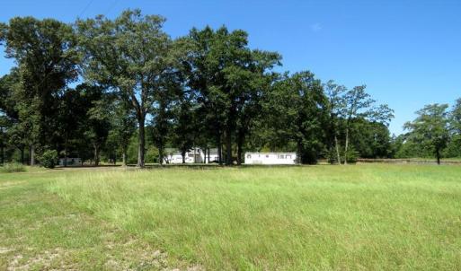 Photo #18 of 4512 Tobacco, Orrum, NC 53.4 acres