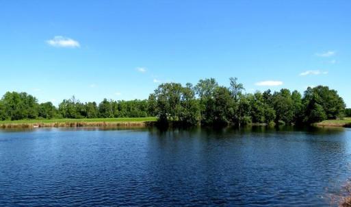 Photo #14 of 4512 Tobacco, Orrum, NC 53.4 acres