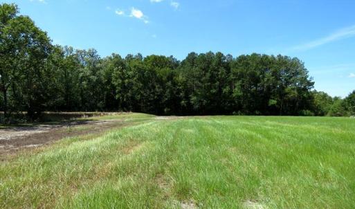 Photo #20 of 4512 Tobacco, Orrum, NC 53.4 acres