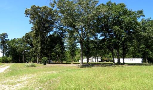Photo #19 of 4512 Tobacco, Orrum, NC 53.4 acres