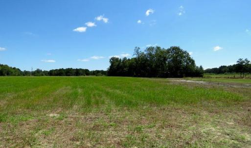 Photo #22 of 4512 Tobacco, Orrum, NC 53.4 acres