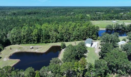 Photo #15 of 4512 Tobacco, Orrum, NC 53.4 acres