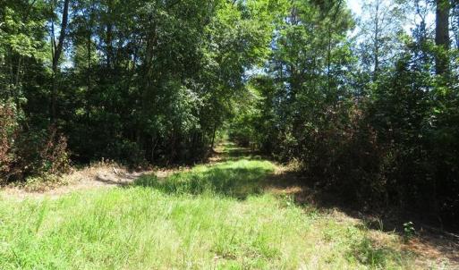 Photo #25 of 4512 Tobacco, Orrum, NC 53.4 acres