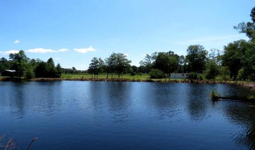 Photo #21 of 4512 Tobacco, Orrum, NC 53.4 acres