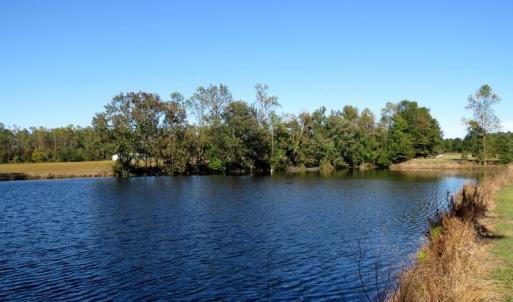 Photo #31 of 4512 Tobacco, Orrum, NC 53.4 acres