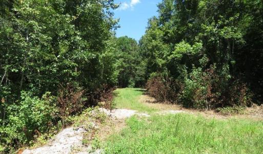 Photo #24 of 4512 Tobacco, Orrum, NC 53.4 acres