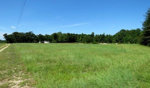 Photo #17 of 4512 Tobacco, Orrum, NC 53.4 acres