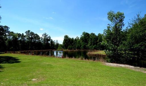 Photo #23 of 4512 Tobacco, Orrum, NC 53.4 acres