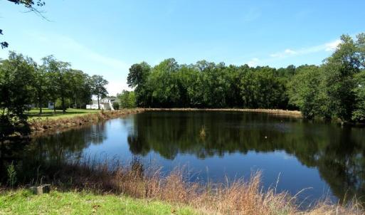 Photo #12 of 4512 Tobacco, Orrum, NC 53.4 acres