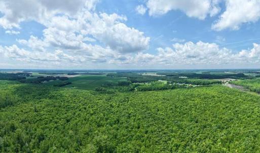 Photo #28 of River North, Camden, NC 37.3 acres
