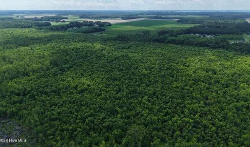 Photo #8 of River North, Camden, NC 37.3 acres
