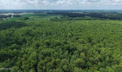 Photo #41 of River North, Camden, NC 37.3 acres