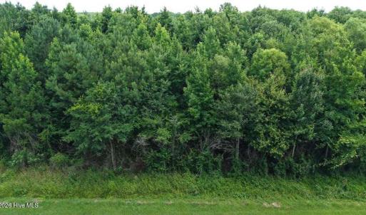 Photo #15 of River North, Camden, NC 37.3 acres