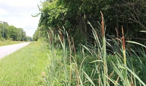 Photo #24 of River North, Camden, NC 37.3 acres