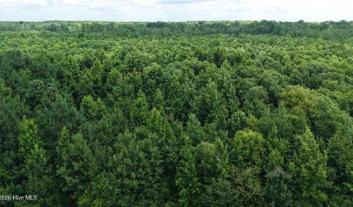 Photo #16 of River North, Camden, NC 37.3 acres
