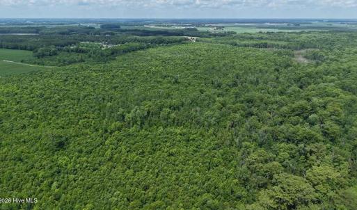 Photo #32 of River North, Camden, NC 37.3 acres
