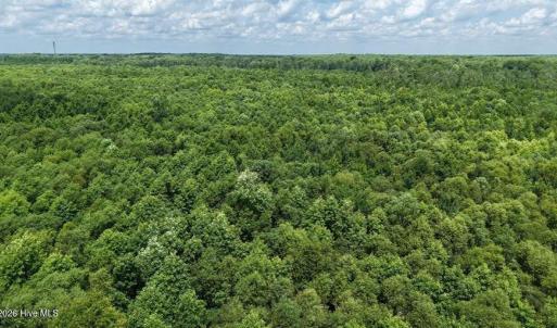 Photo #31 of River North, Camden, NC 37.3 acres