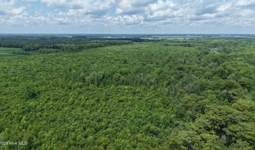 Photo #33 of River North, Camden, NC 37.3 acres