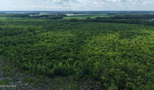 Photo #39 of River North, Camden, NC 37.3 acres