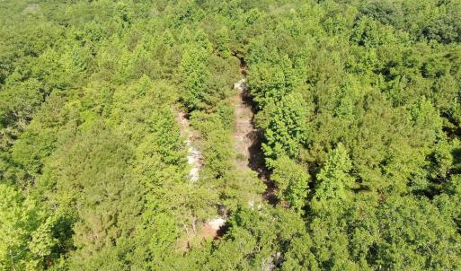 Photo #10 of Tbd Oliver Carlton, Warsaw, NC 16.4 acres