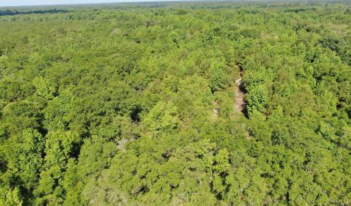 Photo #14 of Tbd Oliver Carlton, Warsaw, NC 16.4 acres
