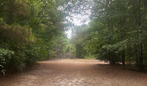Photo #13 of Tbd Oliver Carlton, Warsaw, NC 16.4 acres