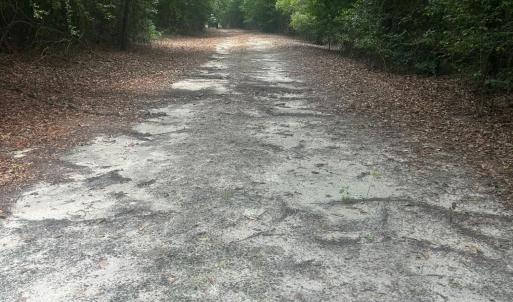 Photo #7 of Tbd Oliver Carlton, Warsaw, NC 16.4 acres