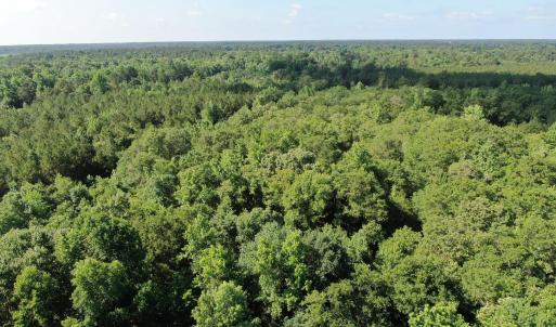 Photo #8 of Tbd Oliver Carlton, Warsaw, NC 16.4 acres