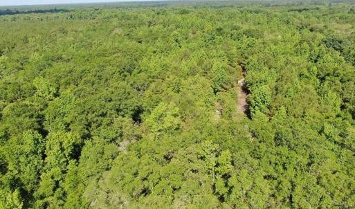 Photo #14 of Tbd Oliver Carlton, Warsaw, NC 16.4 acres