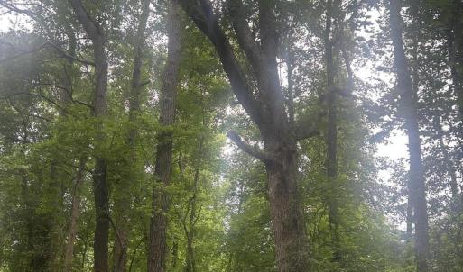Photo #11 of Tbd Oliver Carlton, Warsaw, NC 16.4 acres