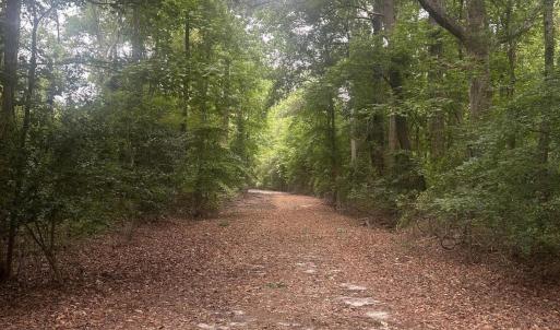 Photo #6 of Tbd Oliver Carlton, Warsaw, NC 16.4 acres
