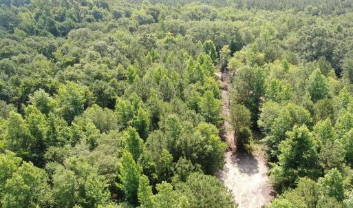 Photo #9 of Tbd Oliver Carlton, Warsaw, NC 16.4 acres