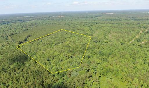 Photo #1 of Tbd Oliver Carlton, Warsaw, NC 16.4 acres