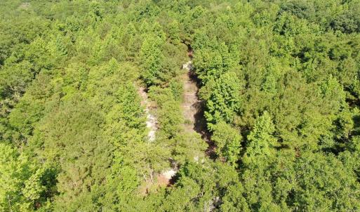 Photo #12 of Tbd Oliver Carlton, Warsaw, NC 16.4 acres