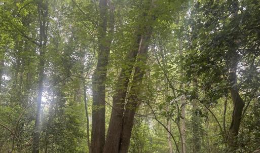 Photo #10 of Tbd Oliver Carlton, Warsaw, NC 16.4 acres