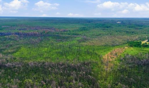 Photo #5 of 10 Acres Address Tbd, Boiling Spring Lakes, NC 10.0 acres