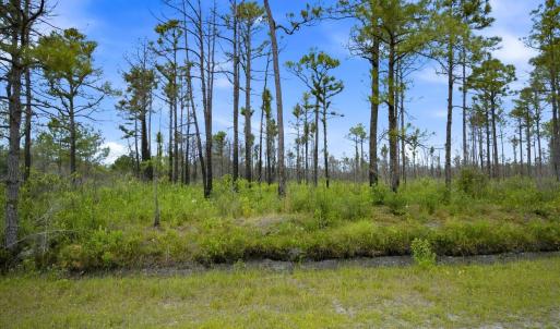 Photo #15 of 10 Acres Address Tbd, Boiling Spring Lakes, NC 10.0 acres