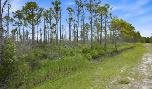 Photo #14 of 10 Acres Address Tbd, Boiling Spring Lakes, NC 10.0 acres