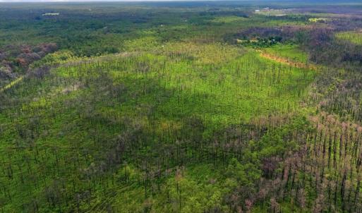 Photo #6 of 10 Acres Address Tbd, Boiling Spring Lakes, NC 10.0 acres