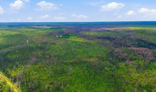 Photo #8 of 10 Acres Address Tbd, Boiling Spring Lakes, NC 10.0 acres