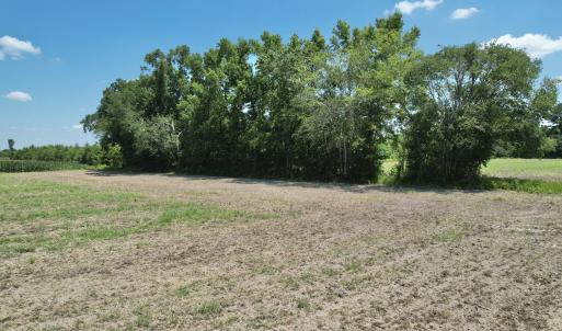 Photo #20 of Booker Lennon Road, Evergreen, NC 2.0 acres