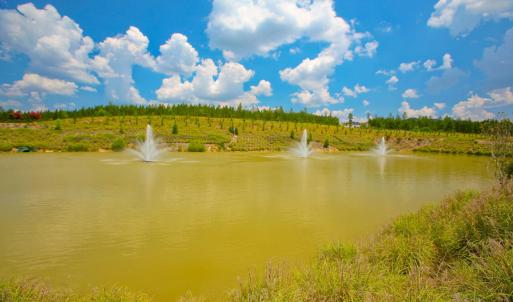 Photo #5 of Lot S21 Scarborough, Aiken, SC 0.6 acres