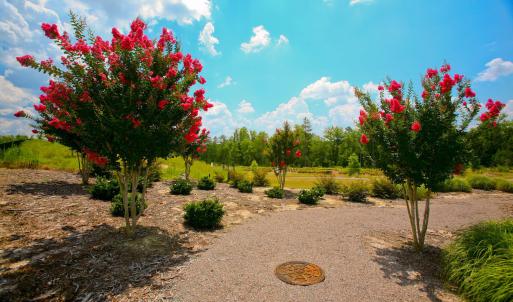 Photo #4 of Lot S21 Scarborough, Aiken, SC 0.6 acres