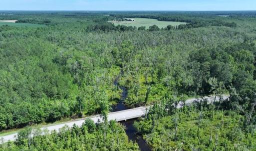Photo #10 of 35 Acres Yarborough, Parkton, NC 35.0 acres