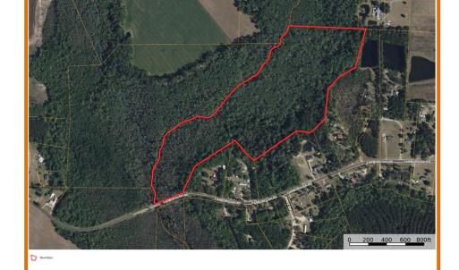 Photo #2 of 35 Acres Yarborough, Parkton, NC 35.0 acres