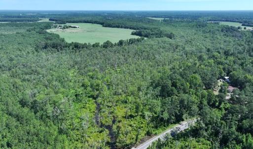 Photo #9 of 35 Acres Yarborough, Parkton, NC 35.0 acres