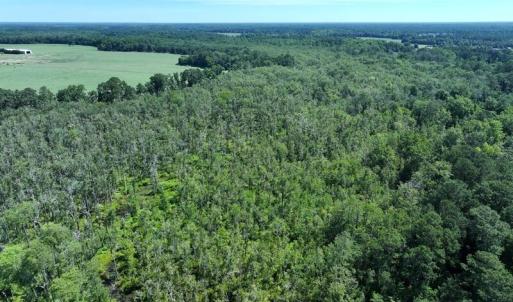 Photo #6 of 35 Acres Yarborough, Parkton, NC 35.0 acres