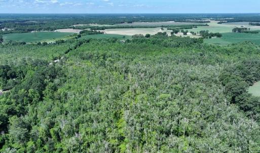 Photo #7 of 35 Acres Yarborough, Parkton, NC 35.0 acres