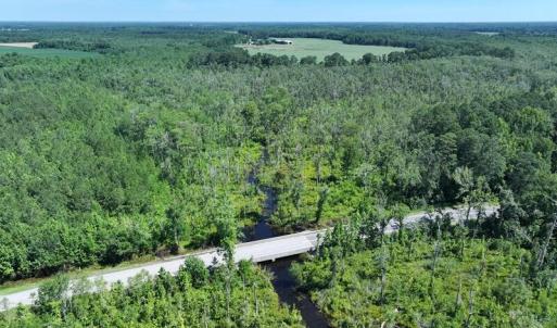 Photo #10 of 35 Acres Yarborough, Parkton, NC 35.0 acres
