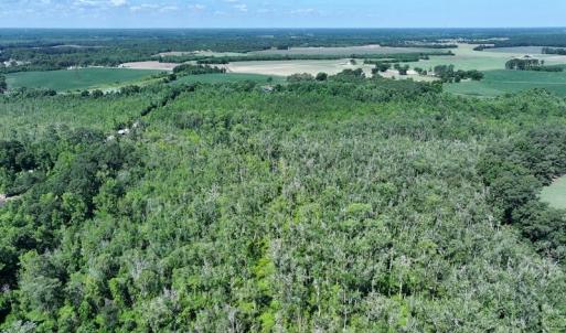 Photo #7 of 35 Acres Yarborough, Parkton, NC 35.0 acres